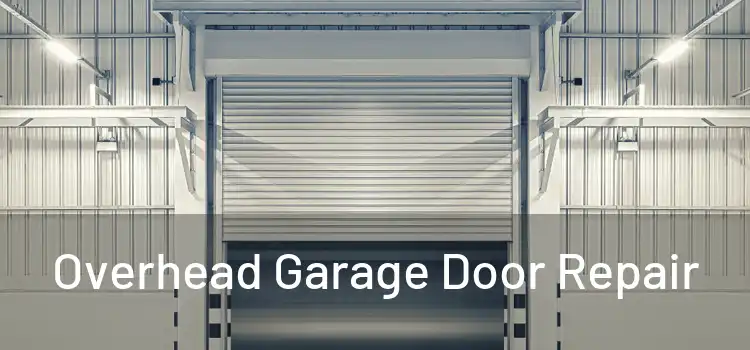  Overhead Garage Door Repair 